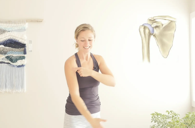 Shoulder Joint Education