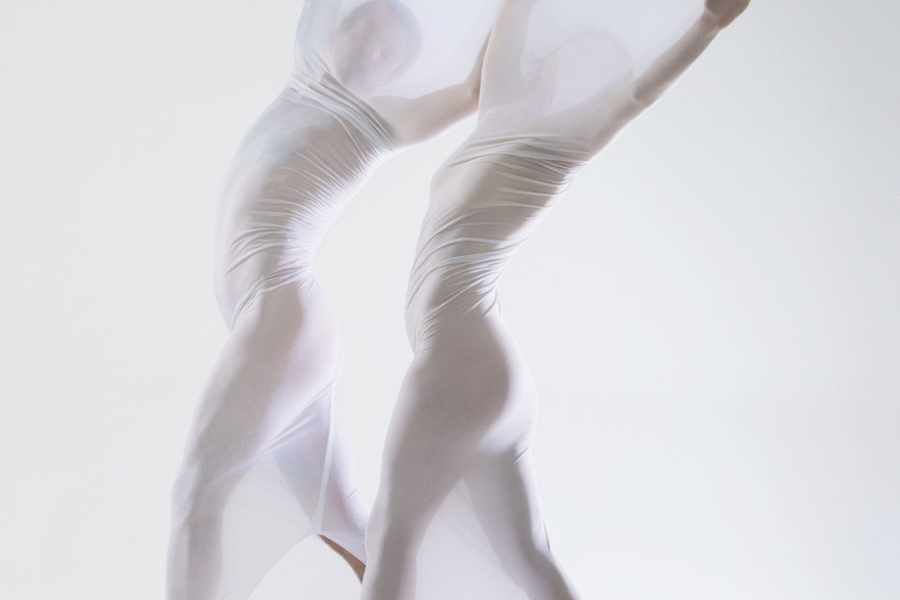 Beyond Anatomy: The Living Language of Fascia