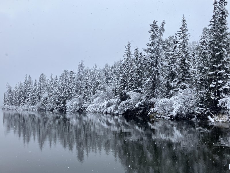 winter